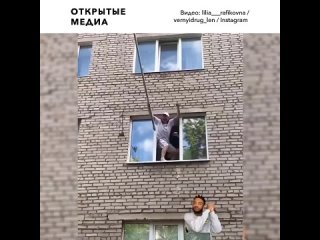 free в татарстане мужчина спас соседского кота застрявшего в окне очевидцы в восторге hd