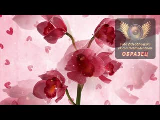free поздравление мамы с юбилеем 60 лет трогательный видео ролик прекрасный подарок на день рождения hd