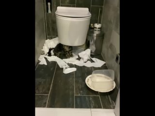 free забыла закрыть дверь в туалет и мои котька не растерялся hd