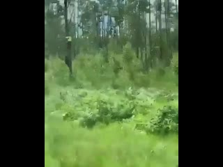 free когда у кого то день начался не с кофе hd
