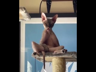 free как прошли ваши выходные в смысле прошли hd