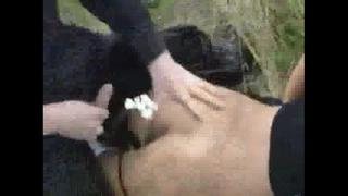 free это видео попадает сразу в два наших альбома взяли силой и русское догнали и трахнули ее где в россии в секс hd