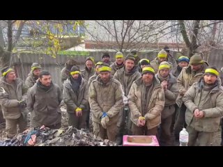 free кидают сразу на передок как фарш как мясо hd