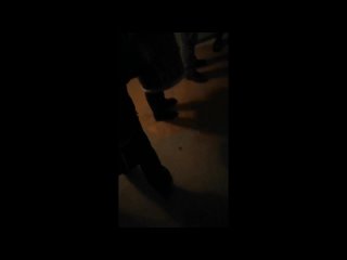 free в перми приставы несколько часов пытаются отобрать квартиру у ветерана великой отечественной войны hd