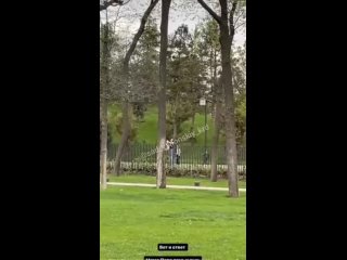free в краснодаре на видео попала перелезающая через забор в японский сад семья hd