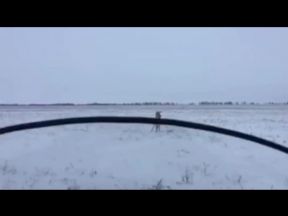free смешные случаи на охоте необычные случаи на охоте новый выпуск 1 hd