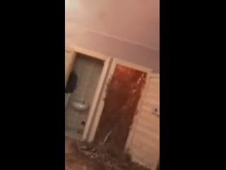 free опять ёбаный мамикс снимает свои эксперименты с кора ророй я в ахуе hd