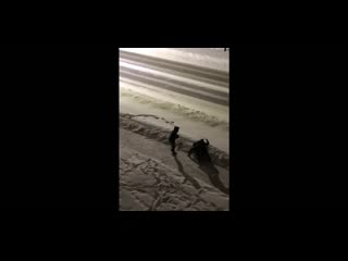 free на четвертый день грабители окончательно охренели и пошли на дело hd