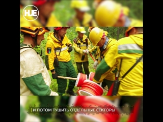 free в якутии уже месяц идут лесные пожары с ними борются десантники пожарные hd