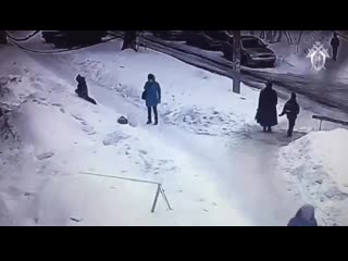 free в рязани трёхлетний ребёнок попал в реанимацию из за упавшей с крыши ледяной глыбы hd