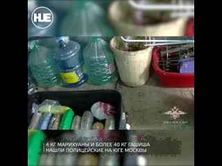 free в столице нашли склад молодые hd