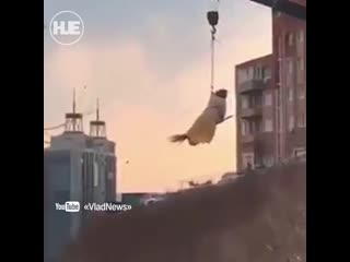free жительница владивостока прокатилась на метле hd