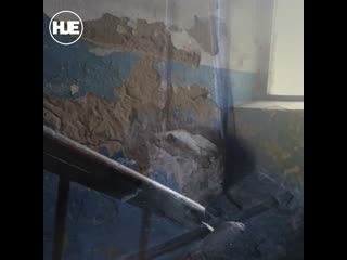 free в общаге мордовского училища родителям студентов предложили сделать ремонт самостоятельно hd