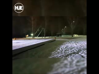 free в красноярске молодые свинья и слон ежедневно танцуют для никого в парке универсиады hd