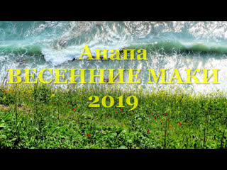 free весенняя ностальгия анапа море красные маки и жёлтые цветочки 2019 год hd