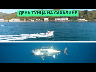 free фестиваль день сахалинского тунца впервые прошел на сахалине hd