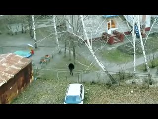 free народу самому пришлось протоптать себе тропинку hd