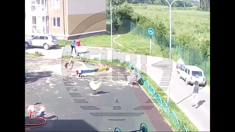 free женщина отбилась от молодые и помогла его задержать в соседних люберцах hd