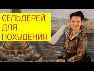 free сельдерей для похудения польза сельдерея для здоровья и похудения галина гроссманн hd