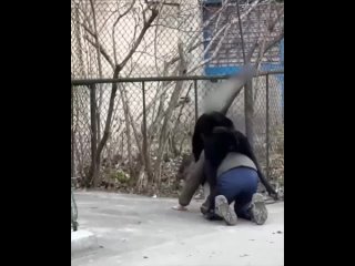free обстаноа в одессе молодые секс мелкого пацана под дикие вопли и смех hd