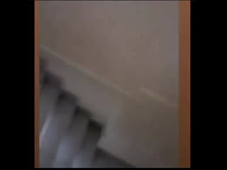 free домашнее молодые в чеченской семье сестры беглянки hd