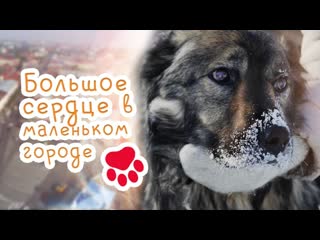 free документальный фильм про бездомных молодые большое сердце в маленьком городе hd 2020 hd
