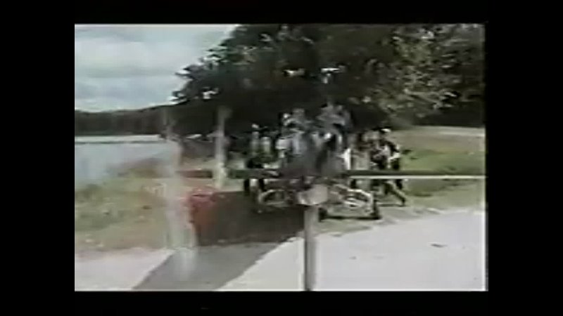 free парк куриного периода парк цыплячьего периода chicken park vhs фильм 1994 года в главных ролях джерри кала деметра hd