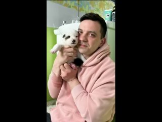 free счастье это когда тебя забрали с улицы и предложили погреться в тёплой ванне hd