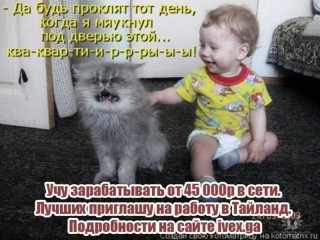 free мурка в хорошем качестве авто запчасти 2 новости слухи 6 новинки русского кино карта достопримечательностей скачать hd