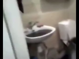 free в школьном туалете прорвало толчок смешное видео в 3gp формате hd