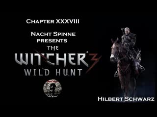 free the witcher 3 часть 38 с цири в новиграде встреча с филиппой эйльхарт hd