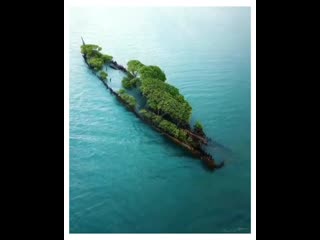 free заброшенный 100 летний корабль в австралии поглотила природа hd