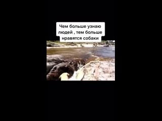 free чем больше узнаю людей тем больше нравятся молодые mp4 hd