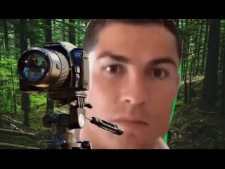 free роналдо ронналду оператор national geographic смотрит и снимает на камеру в лесу на природе hd
