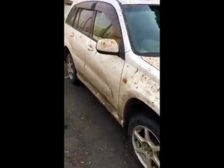 free rav 4 случай на автомойке девушка пригнала на мойку свою машину что было дальше смотрите сами hd