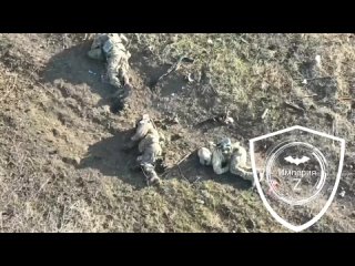 free удар fpv дроном по группе всушников которые пытались вытянуть своего там же на позициях остались и некоторые другие hd