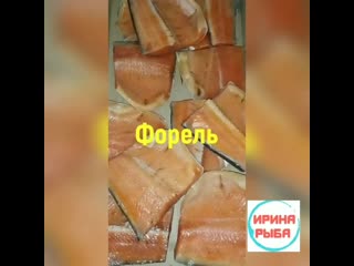 free форель масляная иринарыбафорель иринарыбамасляная только у нас в альметьевске свежее поступление и самый большой hd