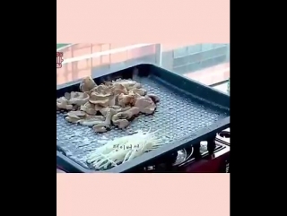 free в рабочий полдень учись жрать правильно hd