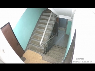 free молодые помочилось в коляску годовалого малыша hd