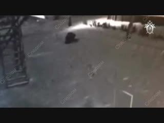free в красноярском края 18 летней каратистке удалось отбиться от маньяка который пытался ее молодые hd