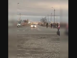 free 17 11 2018 в грозном смертница с поясом шахида направлялась к блок посту не дошла hd