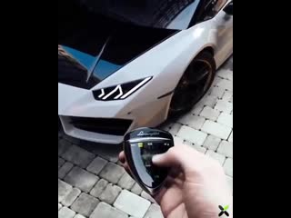 free lamborghini в одном цвете может быстро надоесть ведь правильно hd