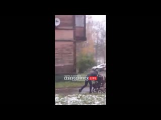 free в северодвинске горе мамаша избила младенца за то что тот мешал ей искать в траве закладку hd