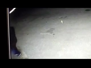 free канистру 92 го и пять тысяч рублей потребовал пьяный житель села виндрей у заправщика hd