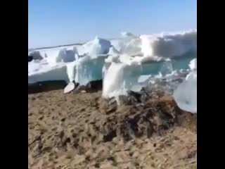 free уникальное явление в приморском крае ледяной прилив амурский залив буквально толкает глыбы льда на берег hd