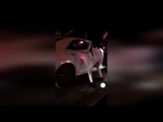 free танцовщицы из ставрополя оказались приличными девушками танцевали не голыми как могло показаться hd