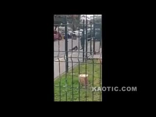 free мексика бандиты пытались добить пациента в больнице hd