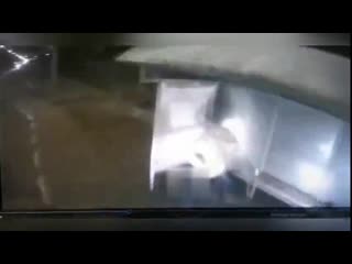 free сегодня парню стоящему на останое крупно повезло его едва не задавил автобус южно сахалинск hd
