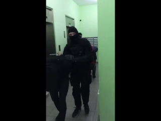 free полицейские задержали участников перестрелки в grand урюк их подозревают в вымогательстве hd