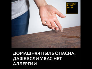 free домашняя пыль опасна даже если у вас нет аллергии hd